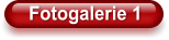 Fotogalerie 1